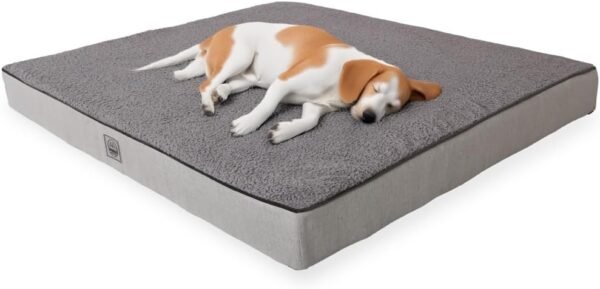 XL Orthopedic Dog Bed